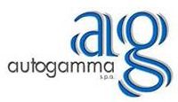 Интеркулер AUTOGAMMA 103768
