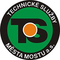 Наконечник поперечной рулевой тяги TS CL0478-0-TS